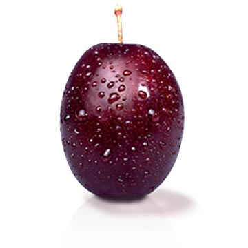 Example frontpage image